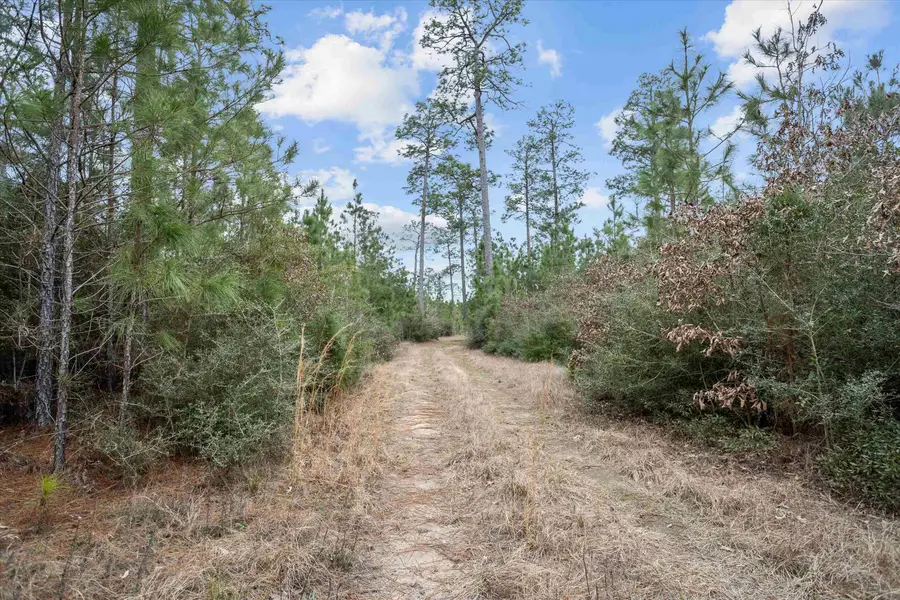 9422 FM 62, Corrigan, TX 75939 - #2