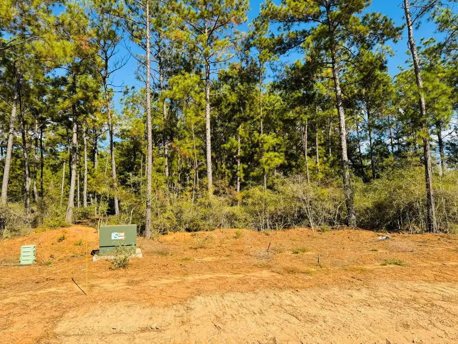 Lot 82 Lakeland Loop, Hillister, TX 77624-9999 - Image #2