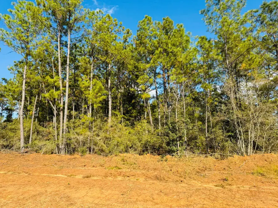 Lot 82 Lakeland Loop, Hillister, TX 77624-9999 - Image #3