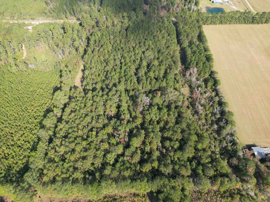 00 Old Honey Island Road, Kountze, TX 77625 - Image #2