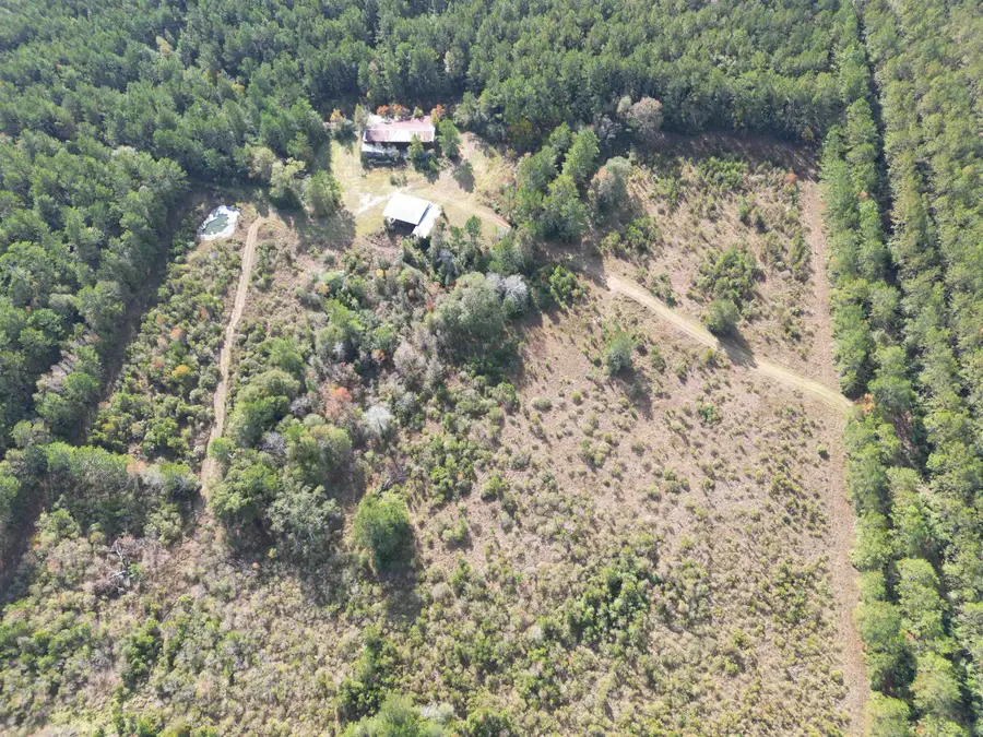 00 Old Honey Island Road, Kountze, TX 77625 - Image #3