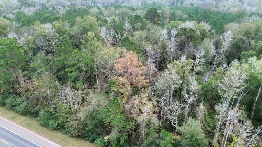 11948 Hwy 190 E, Bon Wier, TX 75928 - #2