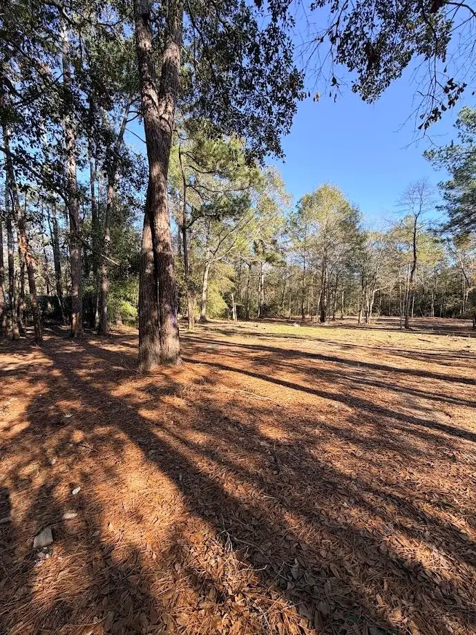 512 Monte Kelly, Buna, TX 77612 - Image #2