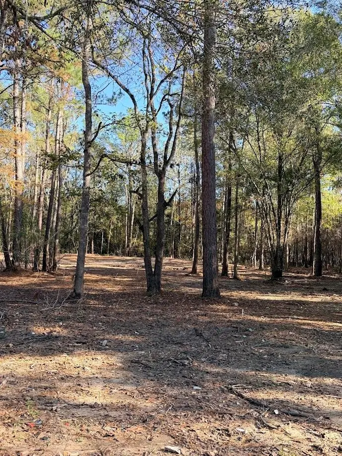 512 Monte Kelly, Buna, TX 77612 - Image #3