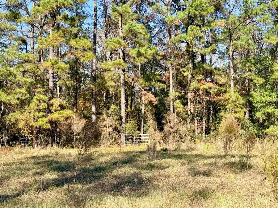 000 Lakeland Dr, Hillister, TX 77624 - Image #2