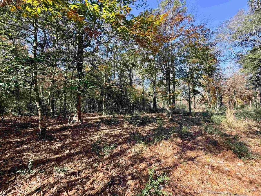 000 Lakeland Dr, Hillister, TX 77624 - Image #3