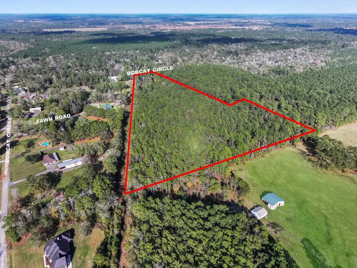 1284 Bobcat Cir, Orange, TX 77632 - Image #1