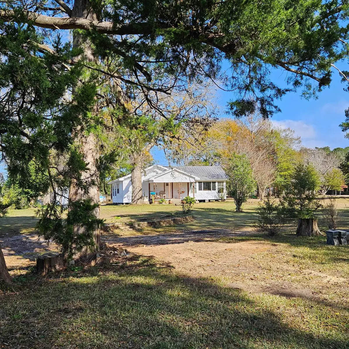 10125 County Road 317, Kirbyville, TX 75956-3905 - Image #1