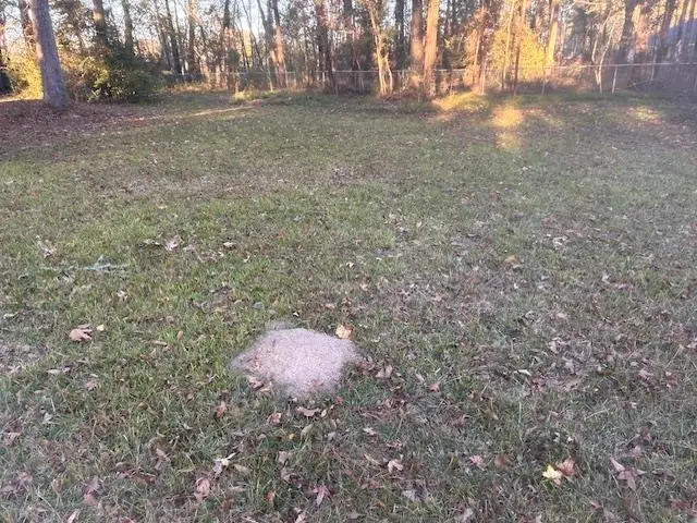 3970 Proctor, Beaumont, TX 77705 - #1