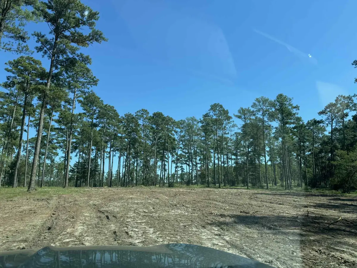 508 Private Road 6028, Brookeland, TX 75931 - Image #1