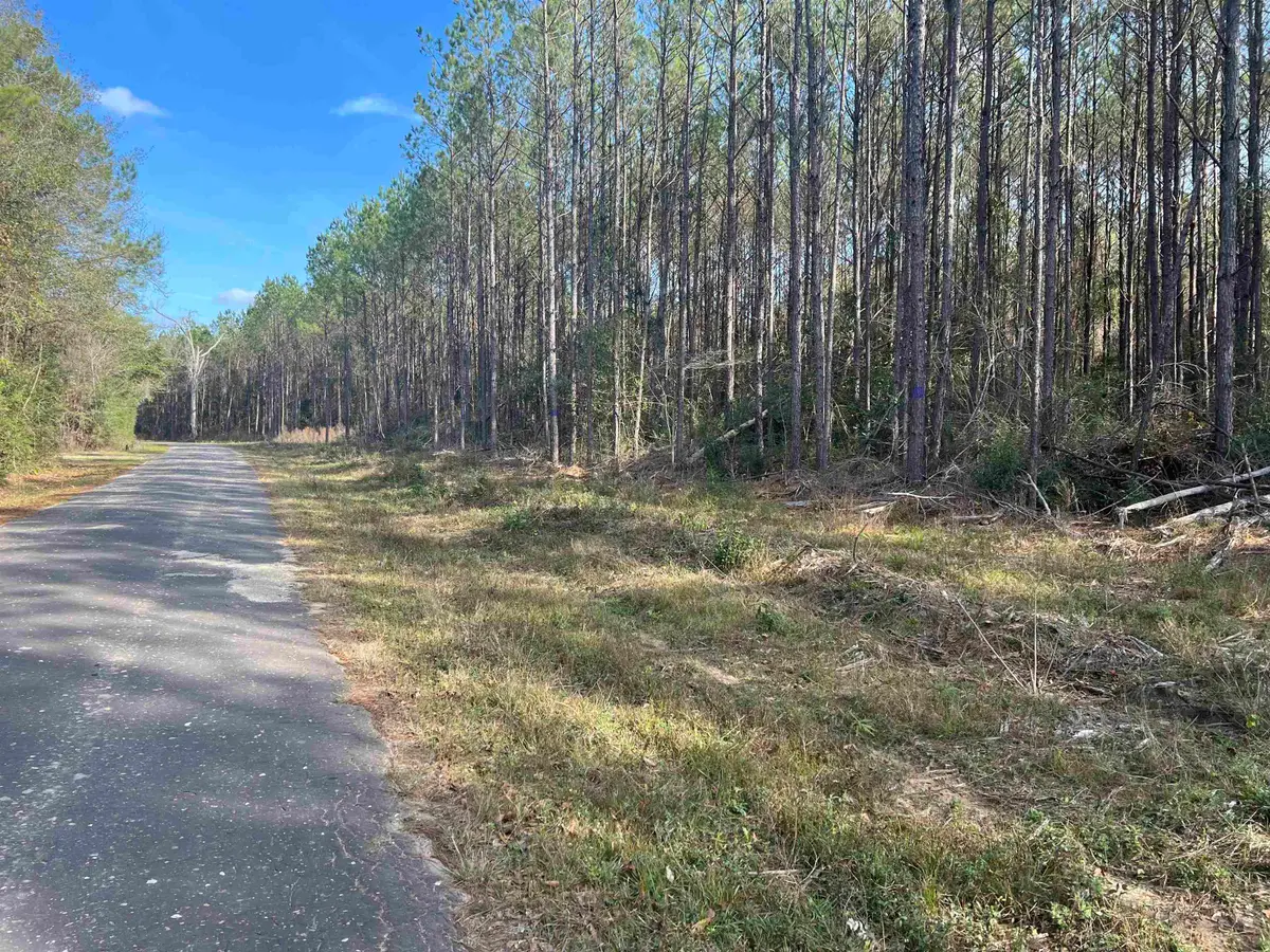 000 Old Tram Rd., Buna, TX 77612 - Image #1