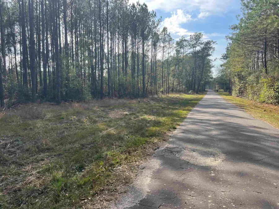 000 Old Tram Rd., Buna, TX 77612 - Image #2