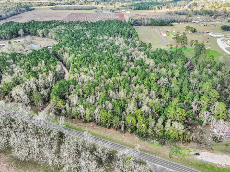 PID# 647888 FM 1013, Spurger, TX 77660 - Image #2