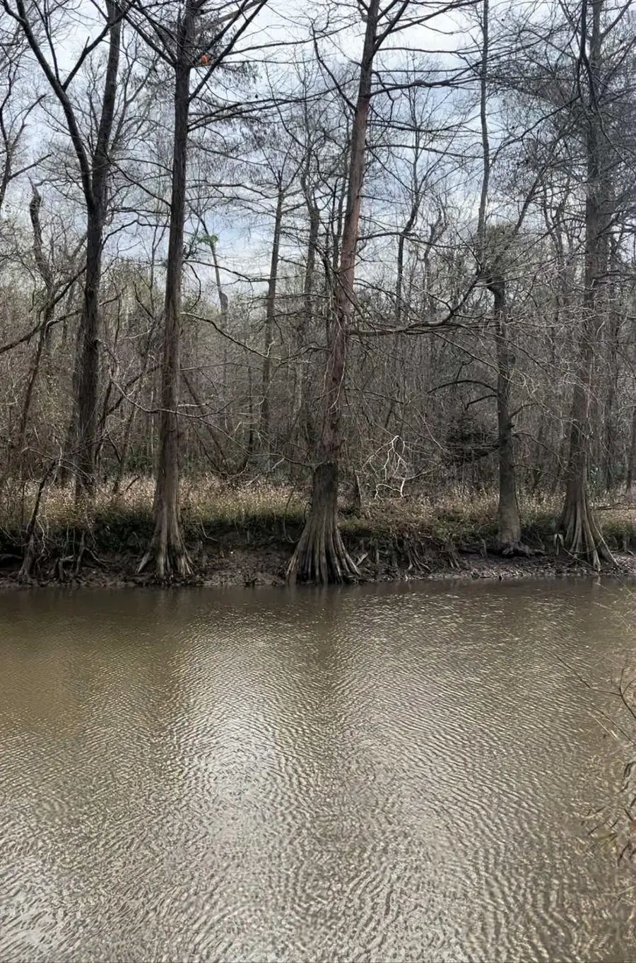 Timco Drive, Orange, TX 77630-0000 - Image #2