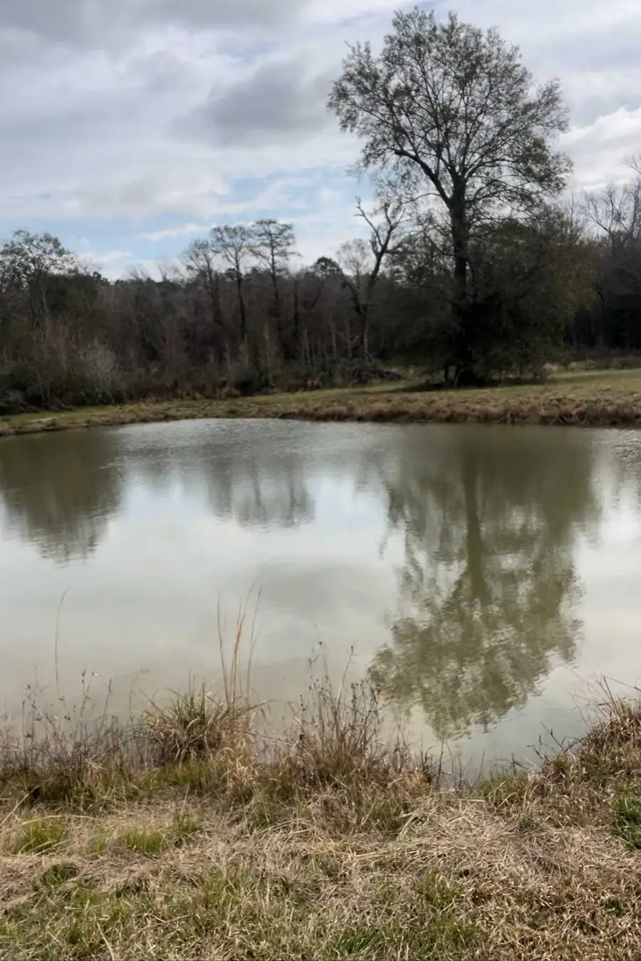 Timco Drive, Orange, TX 77630-0000 - Image #3