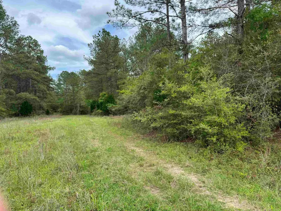 10586 Holland, Kountze, TX 77625 - Image #3