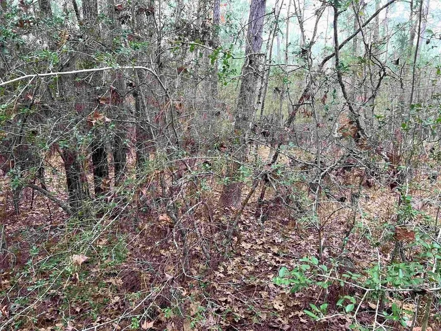 109 Deergrass, Brookeland, TX 75931 - #2