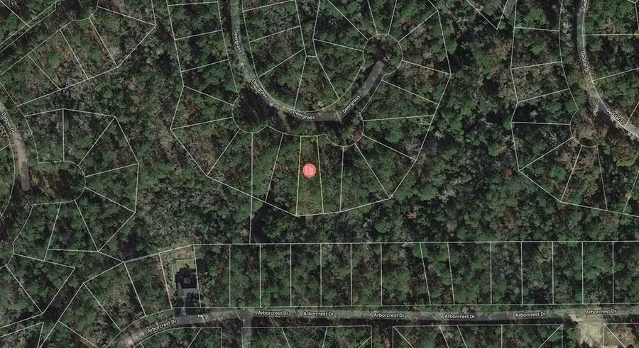 109 Deergrass, Brookeland, TX 75931 - #3