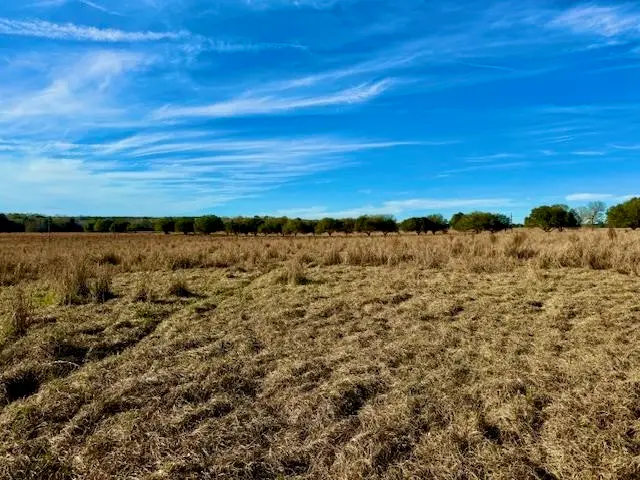 Lot 103 Lakeland Ranch, Hillister, TX 77624-9999 - #1