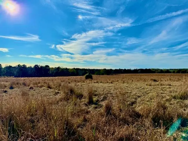 Lot 103 Lakeland Ranch, Hillister, TX 77624-9999 - #2