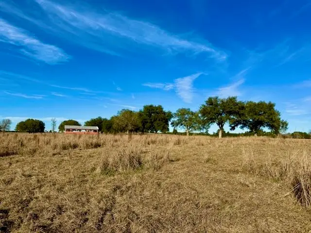 Lot 103 Lakeland Ranch, Hillister, TX 77624-9999 - #3