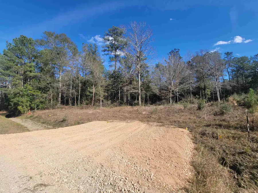 9835 Park Road, Lumberton, TX 77657 - Image #2