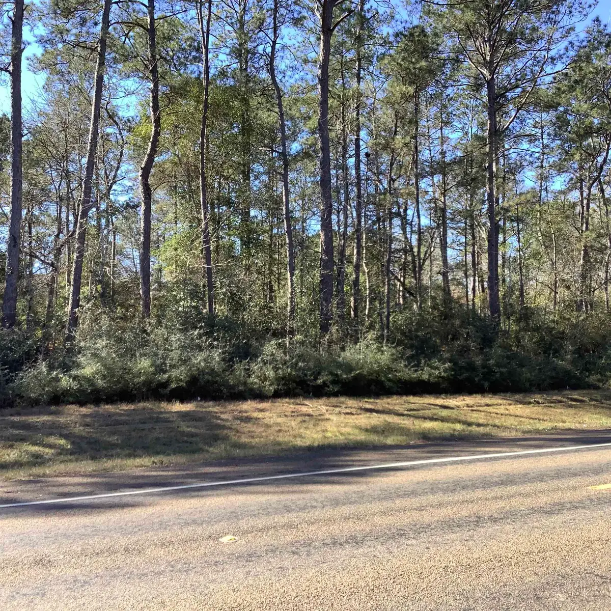 4012 E Highway 190, Newton, TX 75966 - #1