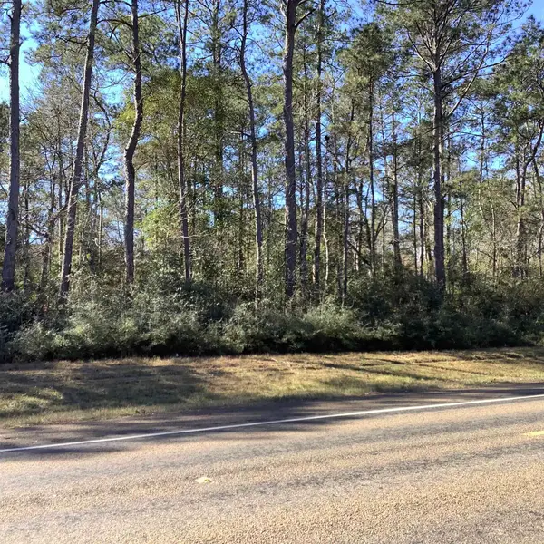 4012 E Highway 190, Newton, TX 75966