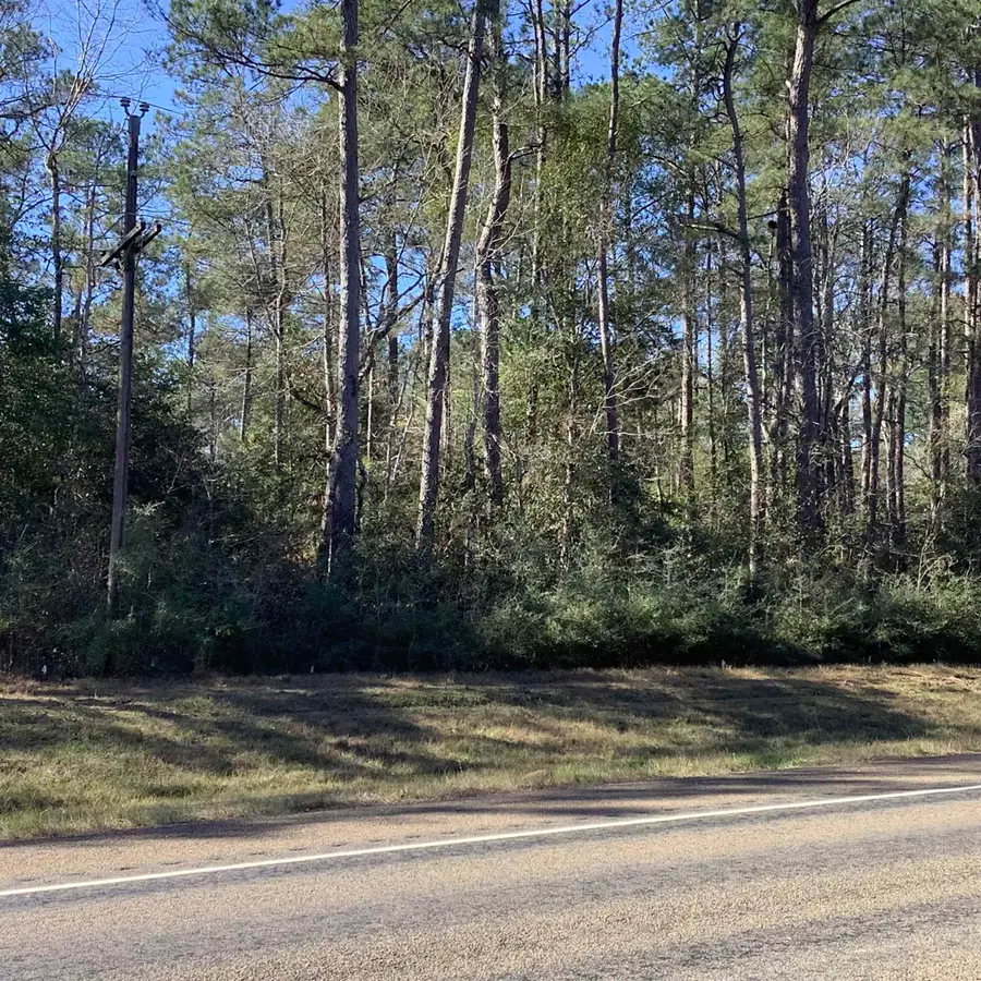 4012 E Highway 190, Newton, TX 75966 - #3