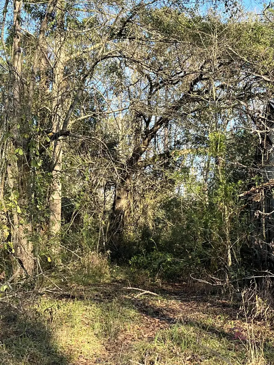 600 Blk CR 4001, Newton, TX 75966-0000 - Image #2