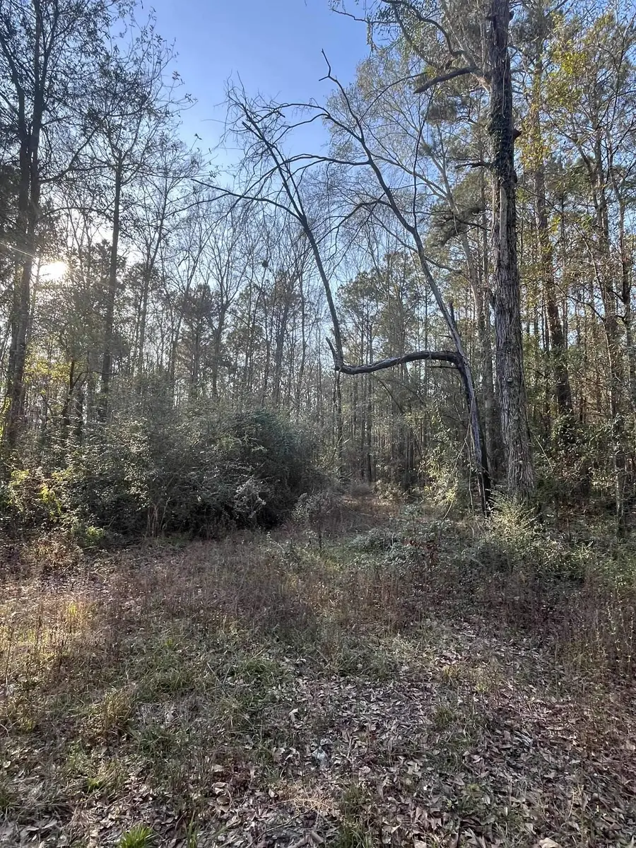 600 Blk CR 4001, Newton, TX 75966-0000 - Image #3