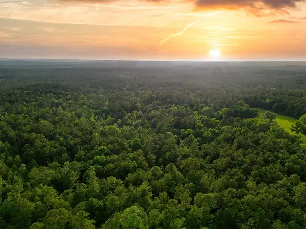 TBD County Road 425, Kirbyville, TX 75956