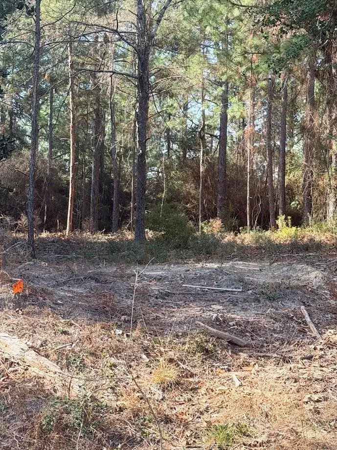 TBD Sugarberry, Brookeland, TX 75931 - Image #2