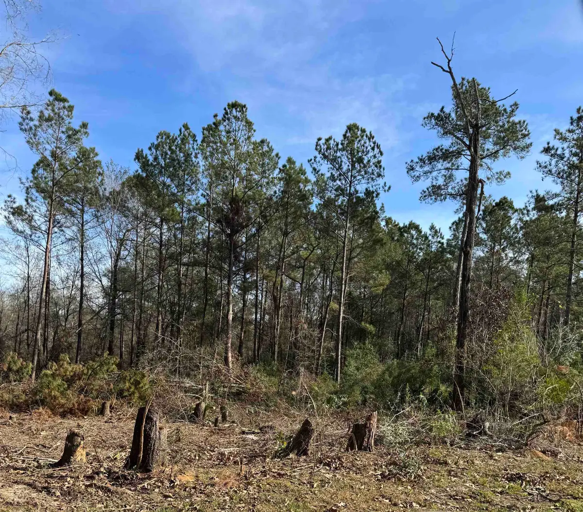 5850 Alford Oaks Drive, Beaumont, TX 77713 - Image #1