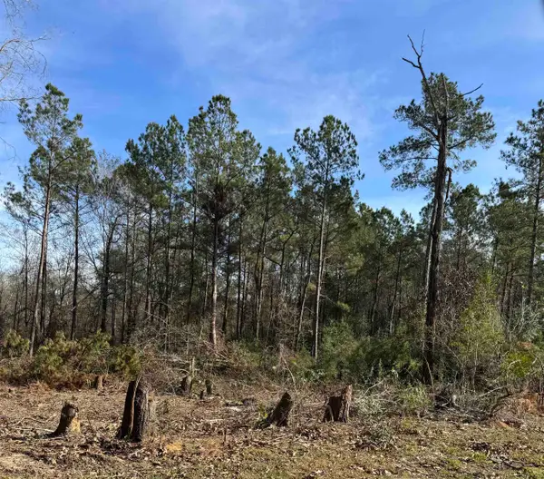 5850 Alford Oaks Drive, Beaumont, TX 77713