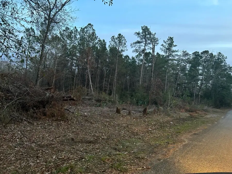 5850 Alford Oaks Drive, Beaumont, TX 77713 - #2