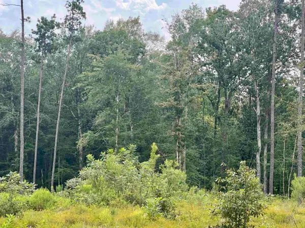 3855 Farm Market 420, Kountze, TX 77625-0000