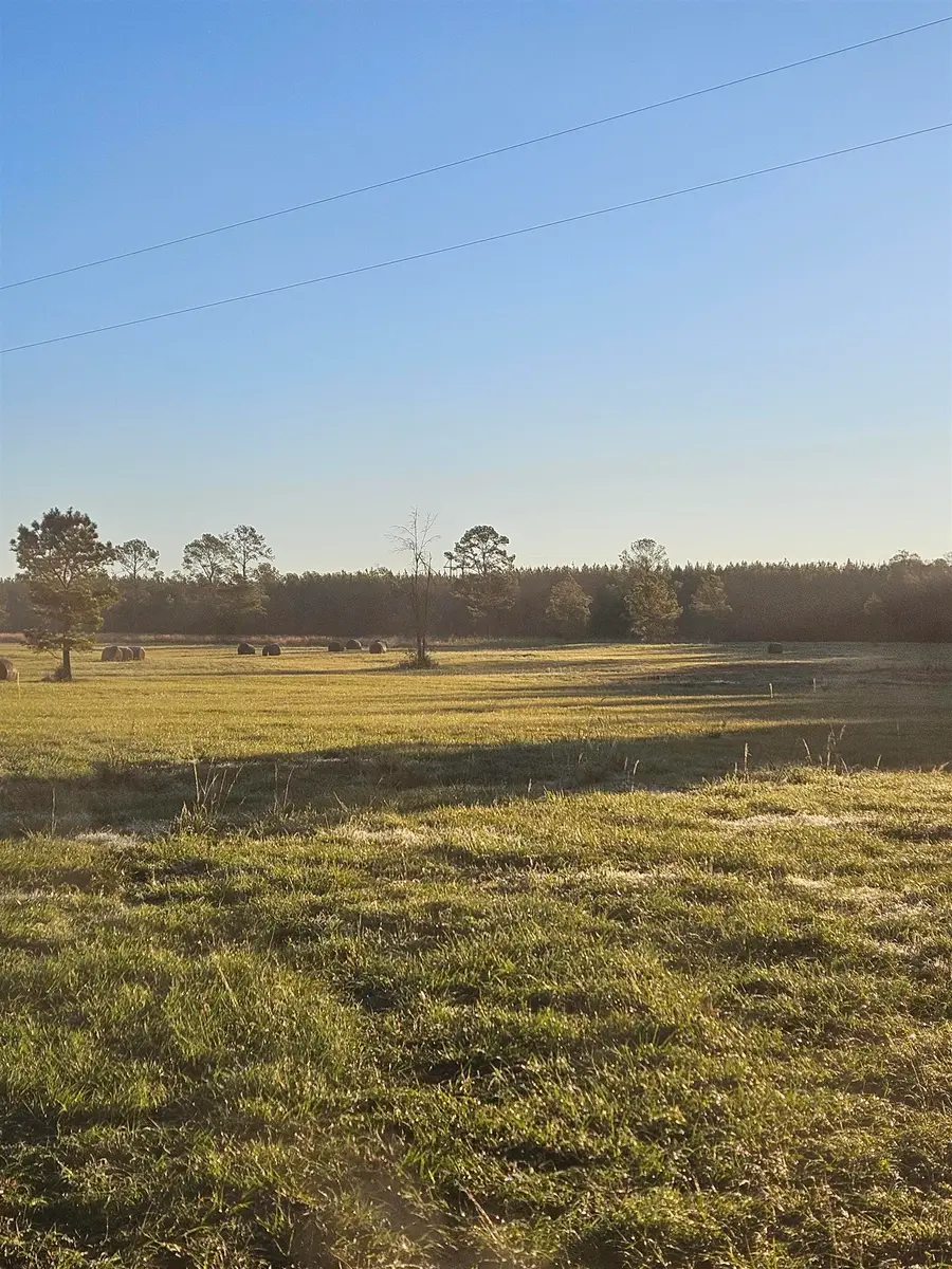 County Road 725, Buna, TX 77612 - Image #2