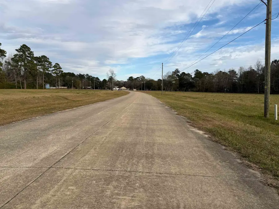 Lot #3 Northbrook Dr, Vidor, TX 77662 - #2