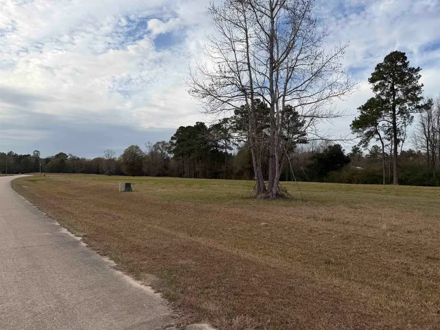 Lot #17 Northbrook Dr, Vidor, TX 77662 - Image #3