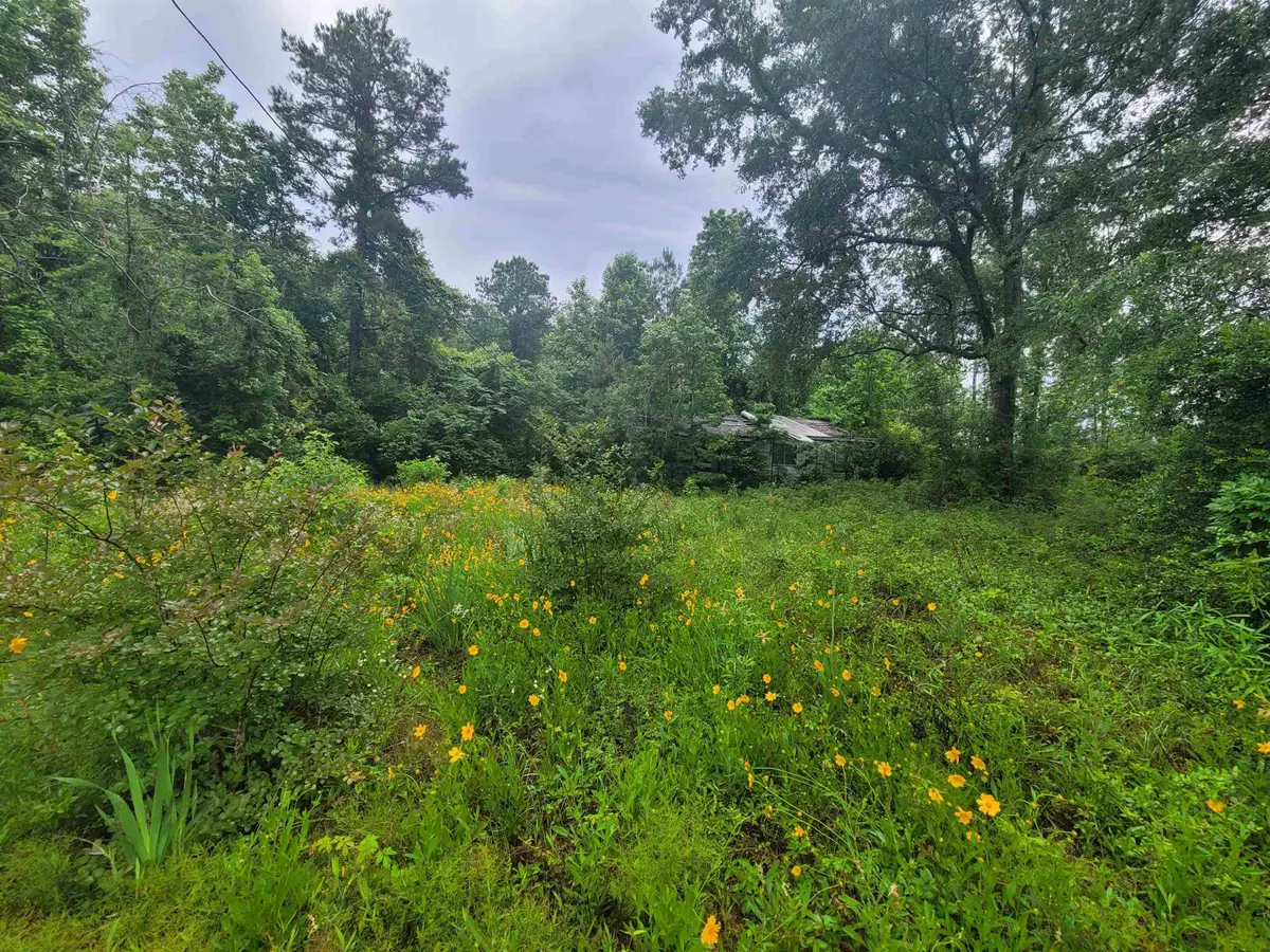 0000 FM 1012, Newton, TX 75966 - Image #1