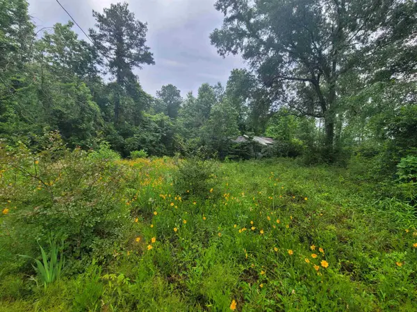 0000 FM 1012, Newton, TX 75966