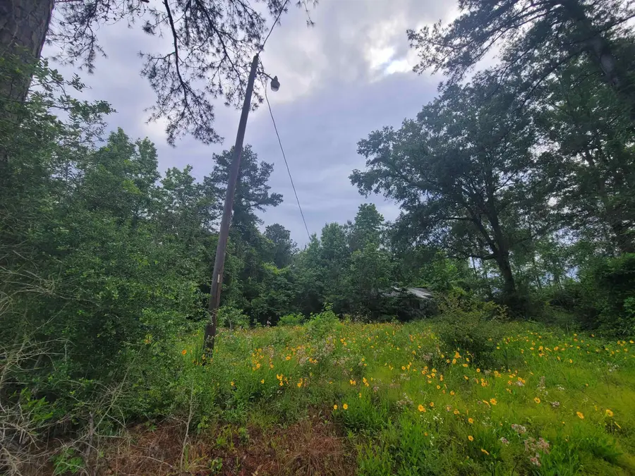 0000 FM 1012, Newton, TX 75966 - Image #2