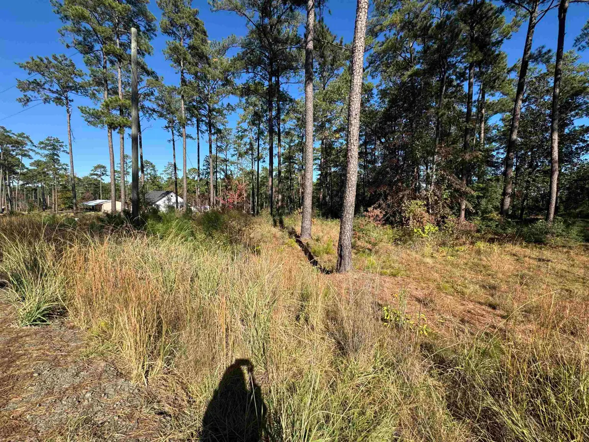 054 Private Road 6028, Brookeland, TX 75931 - #1