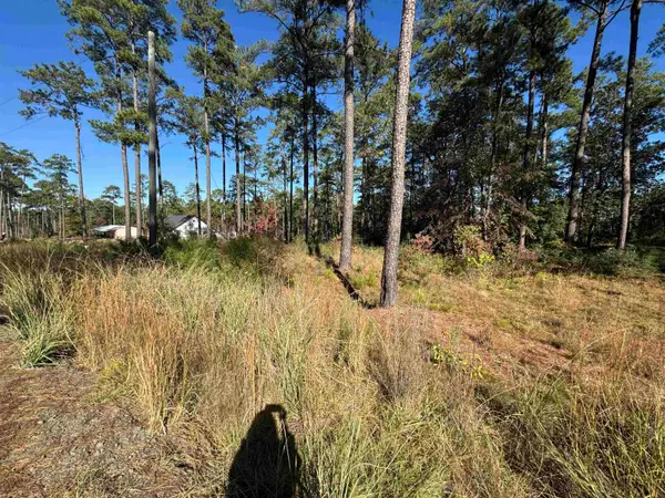 054 Private Road 6028, Brookeland, TX 75931