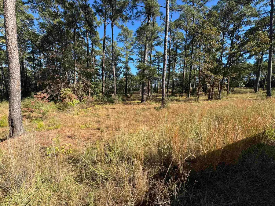 063 Private Road 6028, Brookeland, TX 75931 - #2