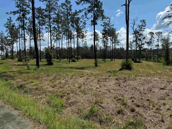 086 Private Road 6028, Brookeland, TX 75931