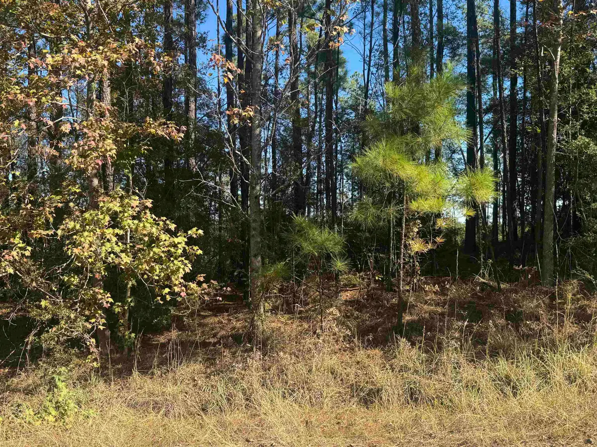 093 Private Road 6028, Brookeland, TX 75931 - #1