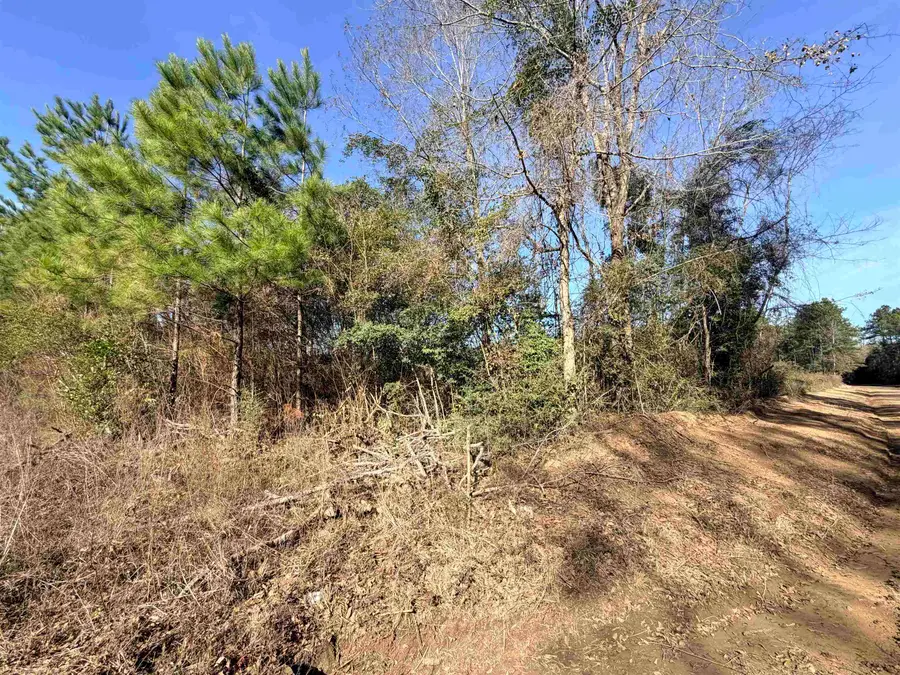 TBD CR 4800, Warren, TX 77664 - #3