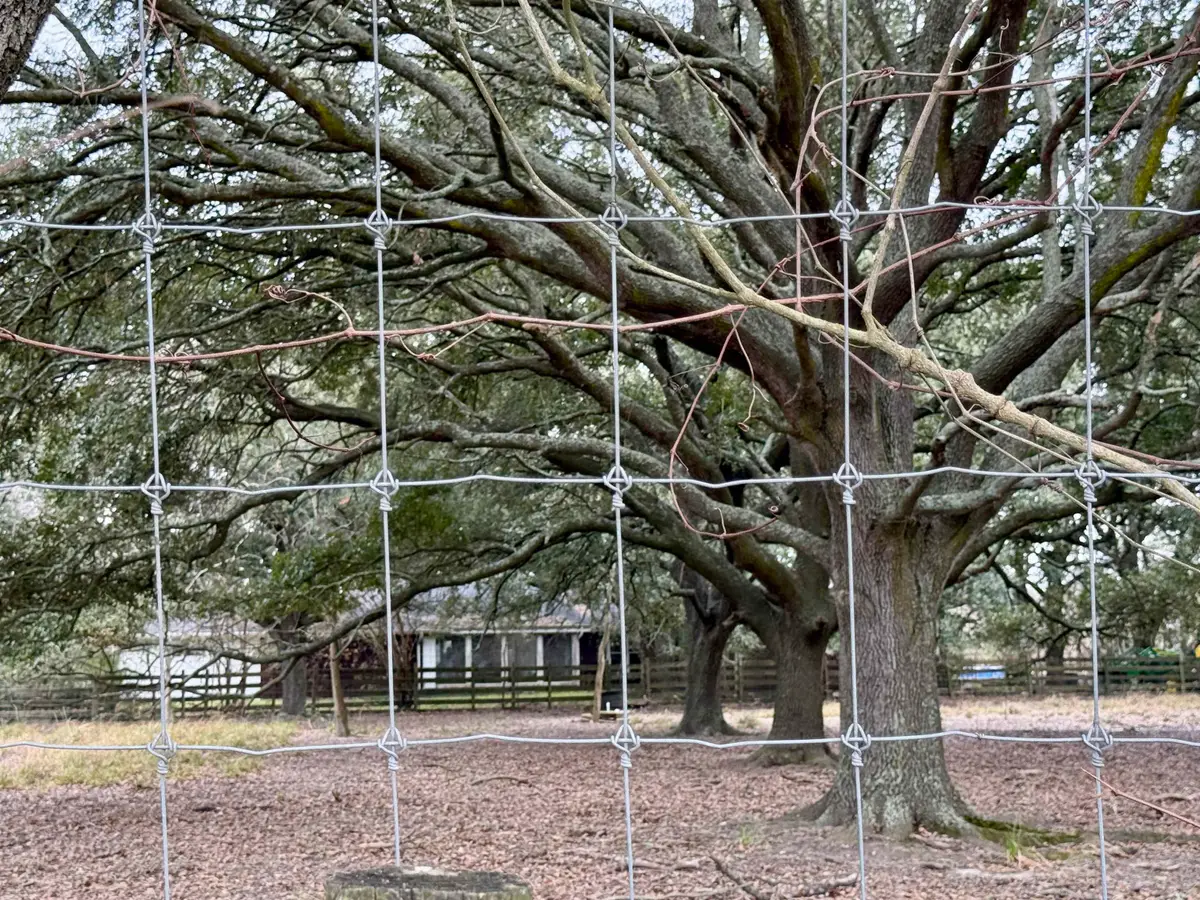 46721 IH 10, Winnie, TX 77665 - #1